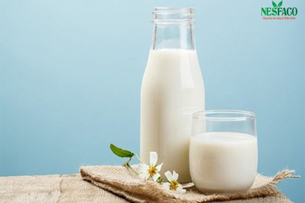 Huyết áp cao nên ăn gì – Sữa không béo rất tốt cho người cao huyết áp